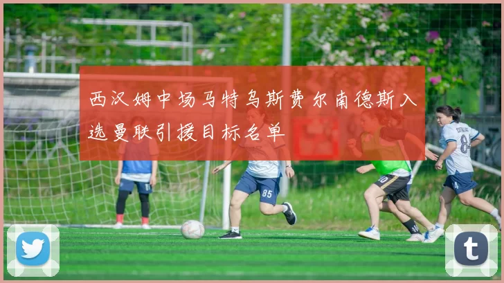 西汉姆中场马特乌斯费尔南德斯入选曼联引援目标名单