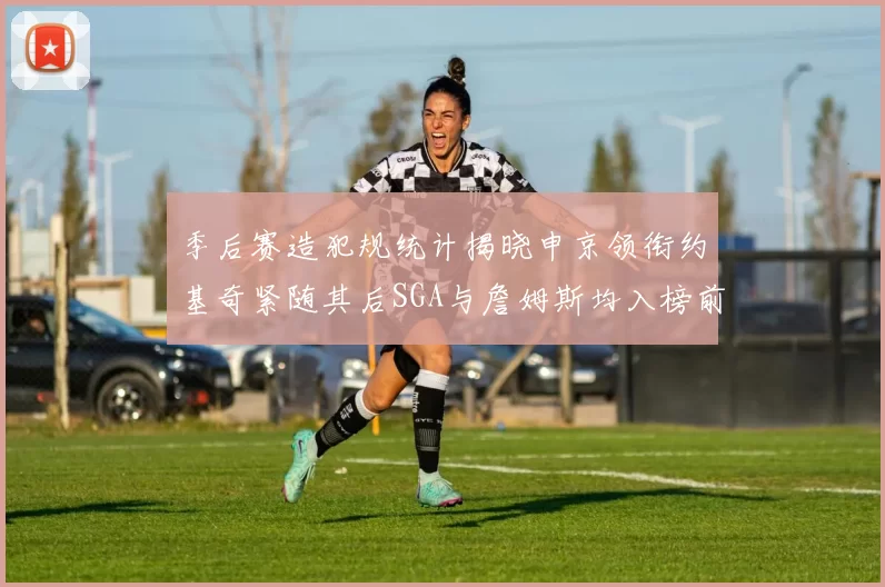 季后赛造犯规统计揭晓申京领衔约基奇紧随其后SGA与詹姆斯均入榜前十
